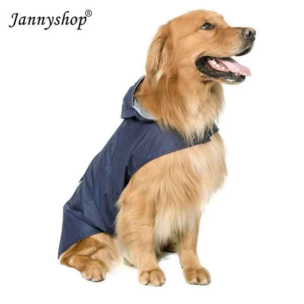Manteau avec capuche chien