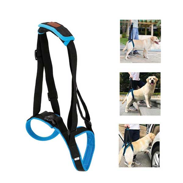 Harnais De Soutien Pour Pattes Arrières De Chiens âgés