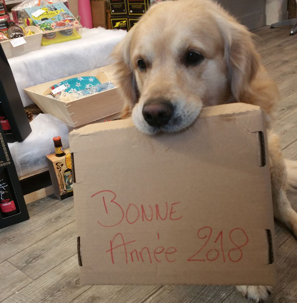 Bonne Ann&eacute;e 2018 !! 
