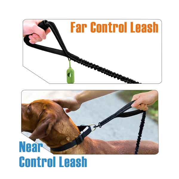 Laisse Rétractable Pour Chien - 5m Extensible Jusqu'à 15kg Avec Sécurité Anti-nœuds